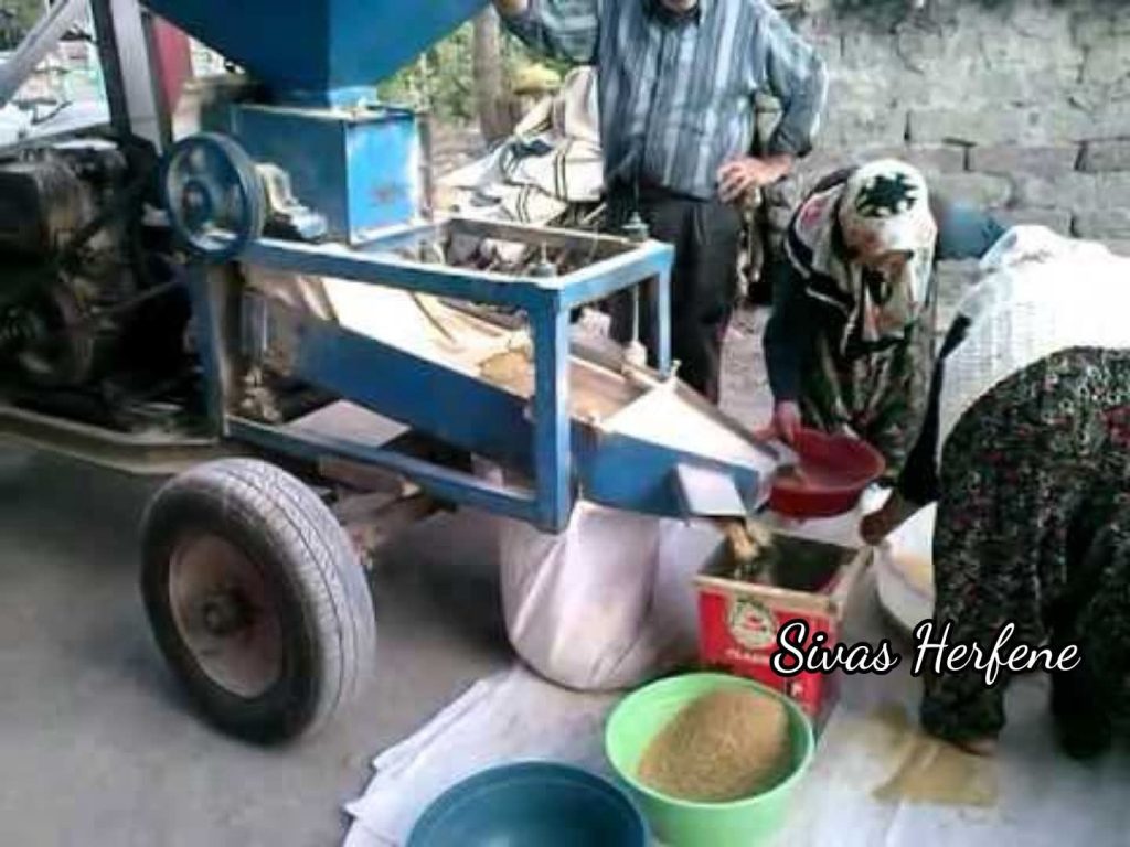WhatsApp Image 2026-04-01 at 01.28.07