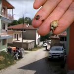 Sivas’tan Sonra Tokat’ta da Alarm: KKKA Nedeniyle 3 Kişi Tedavi Altında